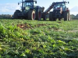 Élection des membres de la chambre d’agriculture